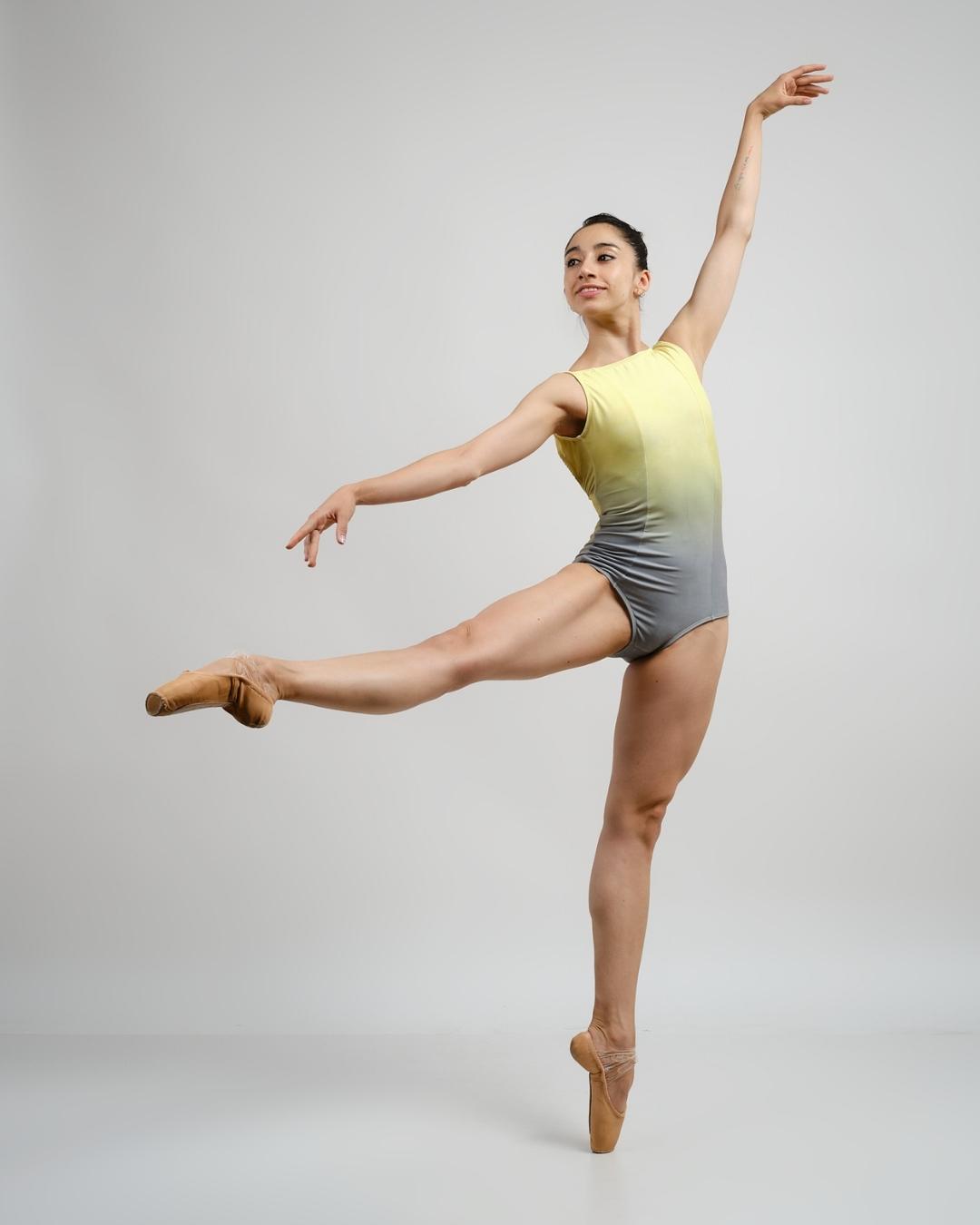 malla de ballet